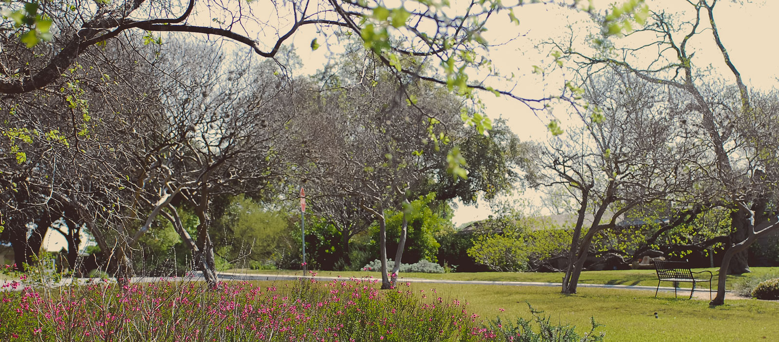 city-park_TerrellHills-TX